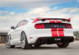 MUSTANGS by Waldoch Crafts