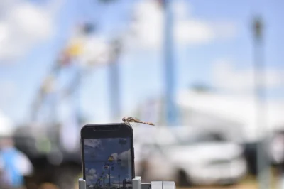 STATE FAIR 2019 - Image 140 of 157