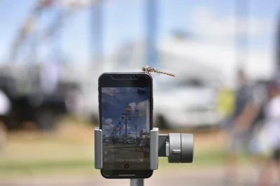 STATE FAIR 2019 - Image 141 of 157