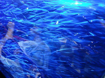 SEMA 2006 - Image 169 of 481