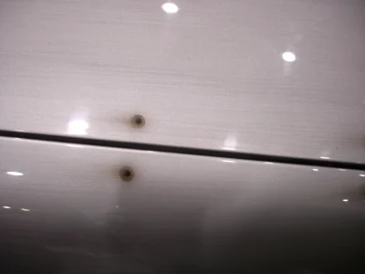 SEMA 2006 - Image 240 of 481