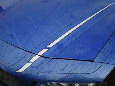 SEMA 2006 - Image 478 of 481