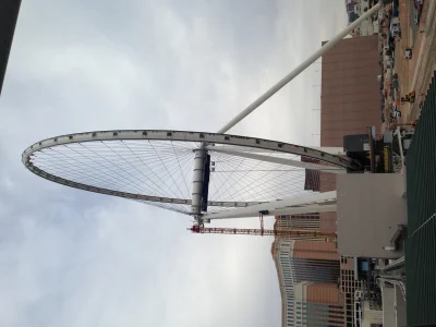 SEMA 2013 - Image 1 of 232