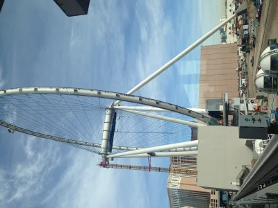 SEMA 2013 - Image 232 of 232