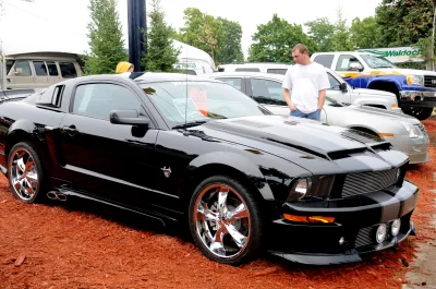 STATE FAIR 2008 - Image 73 of 203