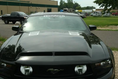 FORD CARS - Image 103 of 120