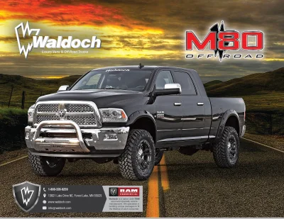 2015 AND 2016 OLDER - Image 9 of 18