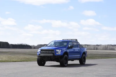 BLUE FLAME 1 - 2014 FORD F-150 STORM - Image 1 of 10