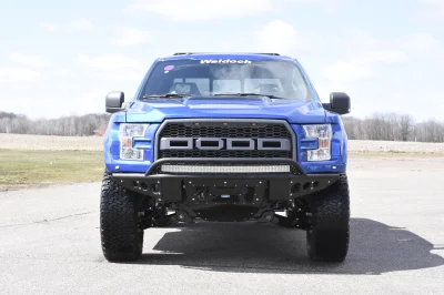 BLUE FLAME 1 - 2014 FORD F-150 STORM - Image 2 of 10