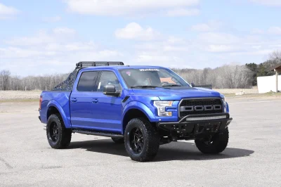 BLUE FLAME 1 - 2014 FORD F-150 STORM - Image 3 of 10