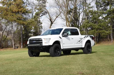 OXFORD WHITE - 2014 FORD F-150 STORM - Image 1 of 10