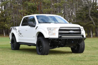 OXFORD WHITE - 2014 FORD F-150 STORM - Image 3 of 10