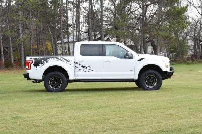OXFORD WHITE - 2014 FORD F-150 STORM - Image 4 of 10