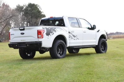 OXFORD WHITE - 2014 FORD F-150 STORM - Image 5 of 10