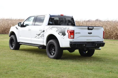 OXFORD WHITE - 2014 FORD F-150 STORM - Image 6 of 10