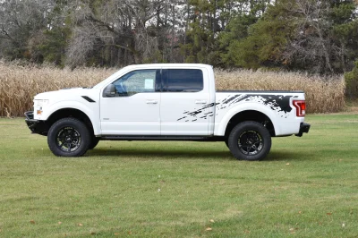 OXFORD WHITE - 2014 FORD F-150 STORM - Image 7 of 10