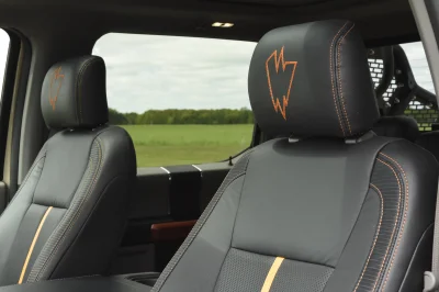 BROWN - 2014 FORD F-150 STORM - Image 11 of 12