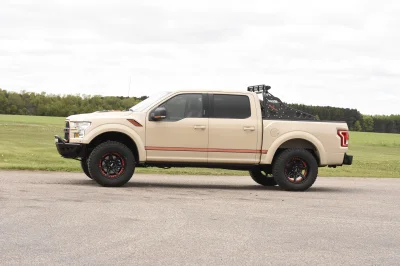 BROWN - 2014 FORD F-150 STORM - Image 4 of 12