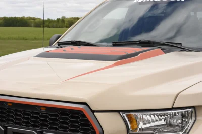 BROWN - 2014 FORD F-150 STORM - Image 7 of 12