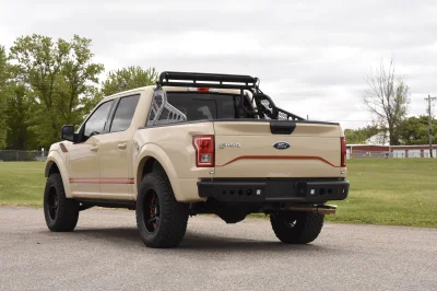 BROWN - 2014 FORD F-150 STORM - Image 9 of 12