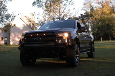 SHADOW BLACK 2 - 2014 FORD F-150 STORM - Image 10 of 10