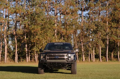 SHADOW BLACK 2 - 2014 FORD F-150 STORM - Image 2 of 10
