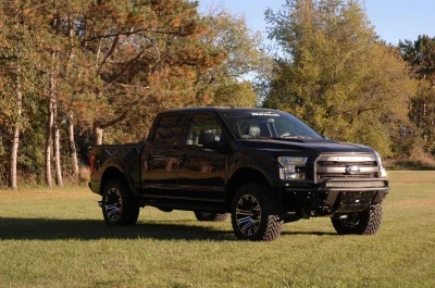 SHADOW BLACK 2 - 2014 FORD F-150 STORM - Image 3 of 10