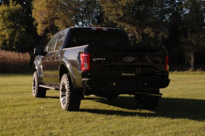 SHADOW BLACK 2 - 2014 FORD F-150 STORM - Image 5 of 10
