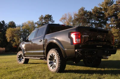 SHADOW BLACK 2 - 2014 FORD F-150 STORM - Image 7 of 10