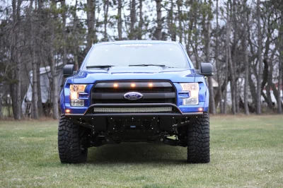 BLUE FLAME 2 - 2014 FORD F-150 STORM - Image 2 of 8