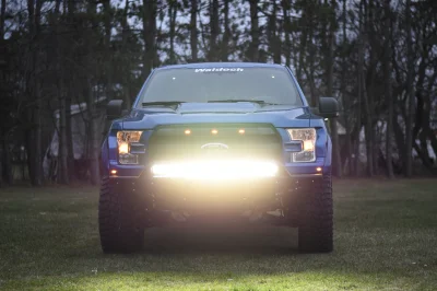 BLUE FLAME 2 - 2014 FORD F-150 STORM - Image 3 of 8