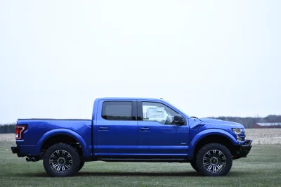 BLUE FLAME 2 - 2014 FORD F-150 STORM - Image 6 of 8