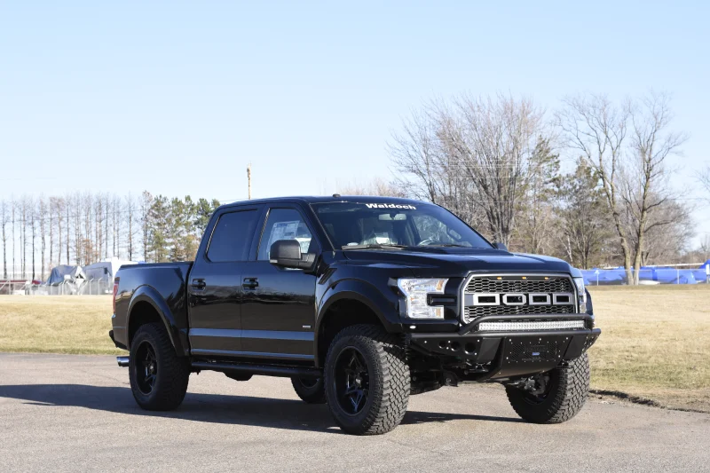 SHADOW BLACK 1 by Waldoch Crafts