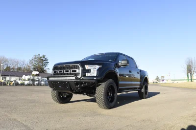 SHADOW BLACK 1 - 2014 FORD F-150 STORM - Image 10 of 10