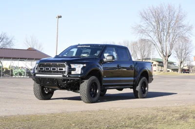 SHADOW BLACK 1 - 2014 FORD F-150 STORM - Image 3 of 10