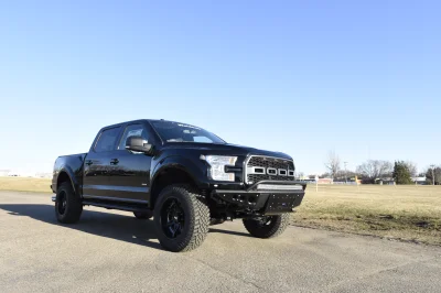 SHADOW BLACK 1 - 2014 FORD F-150 STORM - Image 9 of 10