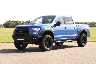 BLUE FLAME 3 - 2014 FORD F-150 STORM - Image 1 of 12