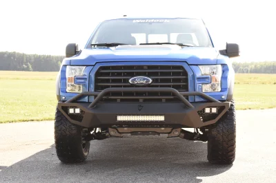 BLUE FLAME 3 - 2014 FORD F-150 STORM - Image 2 of 12