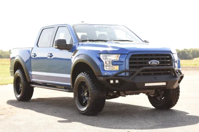 BLUE FLAME 3 - 2014 FORD F-150 STORM - Image 3 of 12