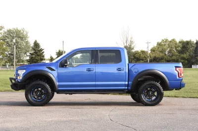 BLUE FLAME 3 - 2014 FORD F-150 STORM - Image 4 of 12