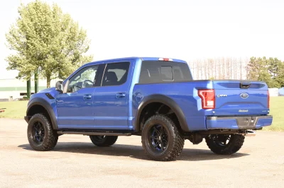 BLUE FLAME 3 - 2014 FORD F-150 STORM - Image 5 of 12