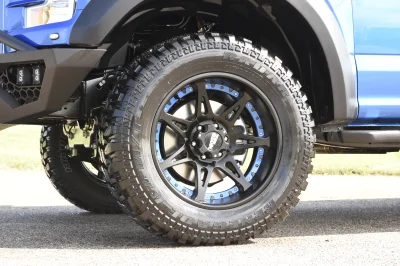 BLUE FLAME 3 - 2014 FORD F-150 STORM - Image 8 of 12