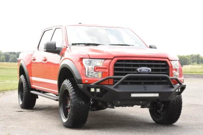 RACE RED 1 - 2014 FORD F-150 STORM - Image 6 of 12