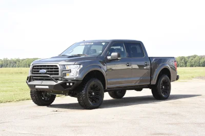 MAGNETIC 2 - 2014 FORD F-150 STORM - Image 3 of 15