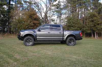 MAGNETIC 1 - 2014 FORD F-150 STORM - Image 1 of 11