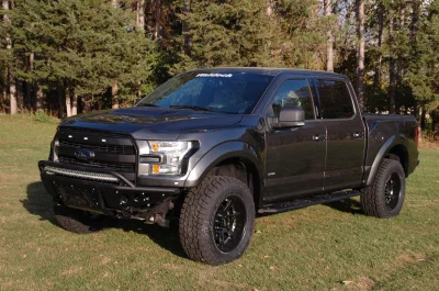 MAGNETIC 1 - 2014 FORD F-150 STORM - Image 11 of 11