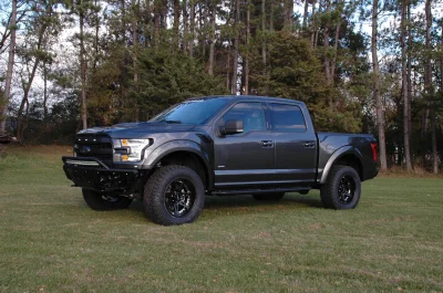 MAGNETIC 1 - 2014 FORD F-150 STORM - Image 2 of 11