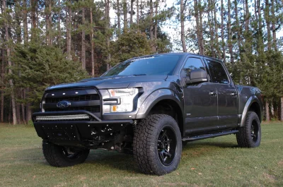 MAGNETIC 1 - 2014 FORD F-150 STORM - Image 3 of 11