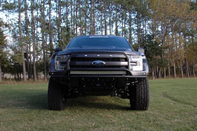 MAGNETIC 1 - 2014 FORD F-150 STORM - Image 4 of 11