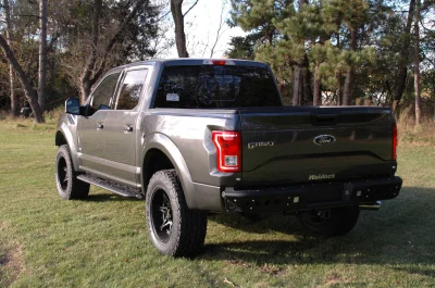 MAGNETIC 1 - 2014 FORD F-150 STORM - Image 9 of 11